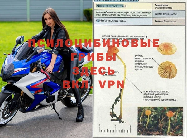 марки nbome Алексин