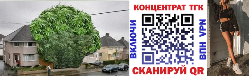 Дистиллят ТГК THC oil  Татарск 