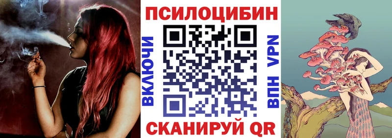 МЕГА tor  купить наркоту  маркетплейс формула  Галлюциногенные грибы прущие грибы  Татарск 